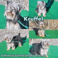 Knuffel Collage