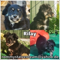 Rilay Collage