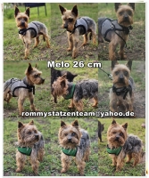 Melo Collage
