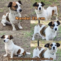 Nandel Collage