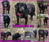 Tumma Collage