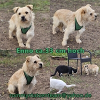 Enno Collage