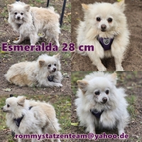 Esmeralda Collage
