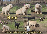 Reni Collage
