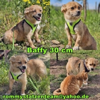 Collage neu