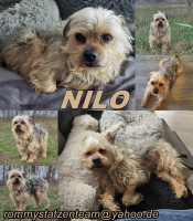 Nilo Collage