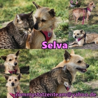 Selva Collage neu