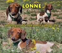 Lönne Collage