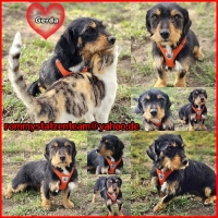 Gerda Collage