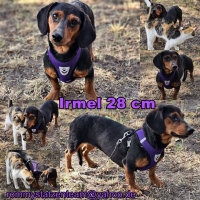 Irmel Collage