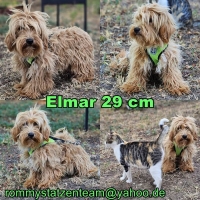 Elmar Collage