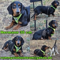 Hermann Collage