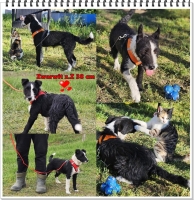 Zwarwit Collage neu