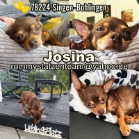 Josina Collage