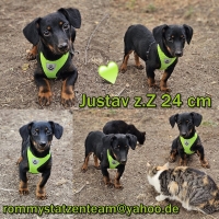 Justav Collage