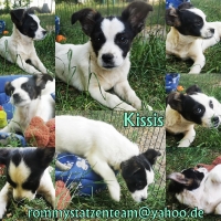 Kissis Collage