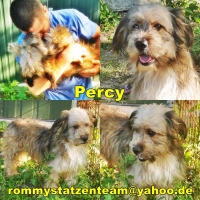 Percy Collage