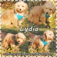Lydia Collage