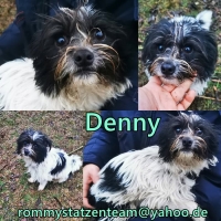 Denny Collage