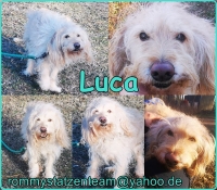 Luca Collage