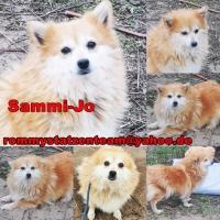 Sammi-Jo Collage
