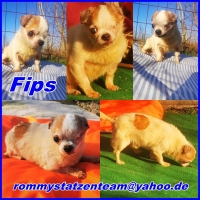 Fips Collage