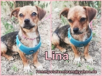 Lina Collage