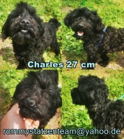 Charles Collage