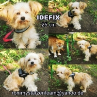 Idefix Collage