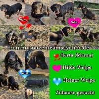 Herta, Hilde und Heiner Collage