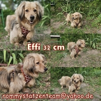 Effi Collage