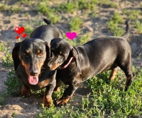 Hilde mit Mama Herta