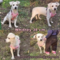 Whitney Collage