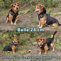 Bolle Collage