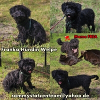 Franka Collage