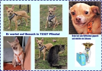 Orein Collage neu2