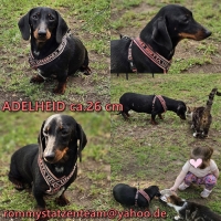 Adellheid Collage