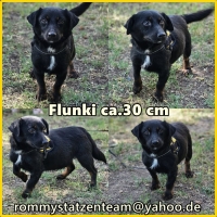 Flunki Collage