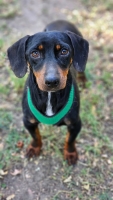 Walter2