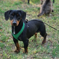 Walter3