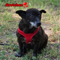 Gretchen3