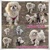 Nuvola Collage
