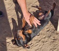 Rupert3