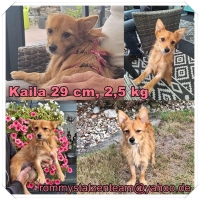 Kalia
