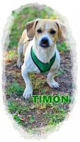 Timon2
