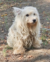 Conchetta5