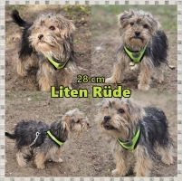 Liten Collage