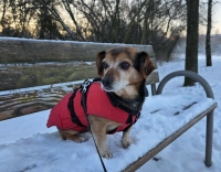 Moritz ehemals Bolle PS12