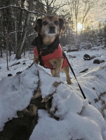 Moritz ehemals Bolle PS16