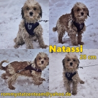 Natassi Collage